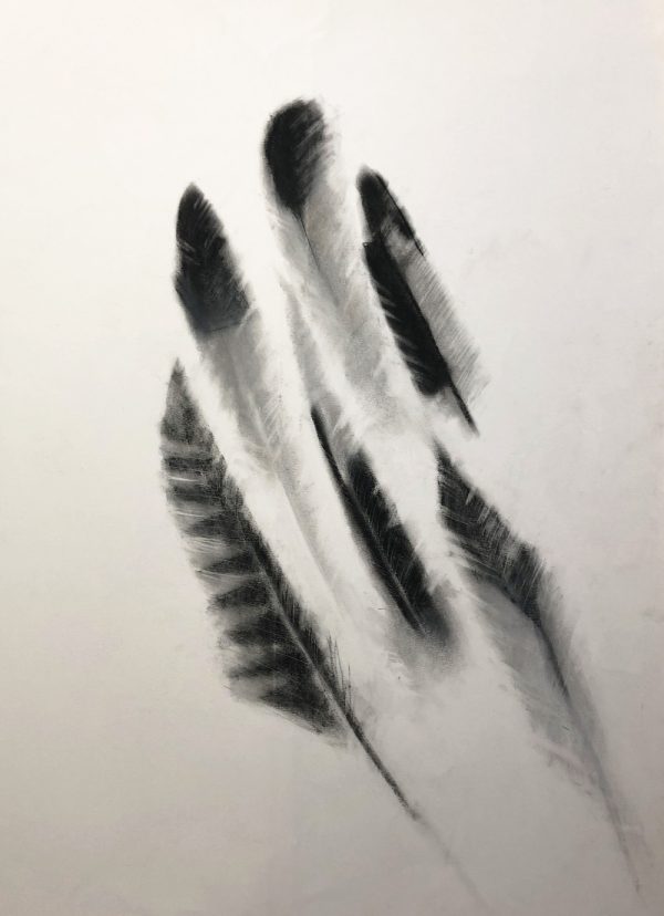 GT art web feathers sketch1